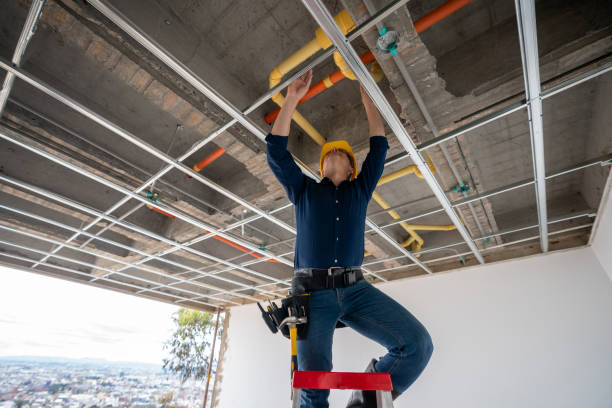 Best Plumbing Inspection Services  in Rancho San Diego, CA